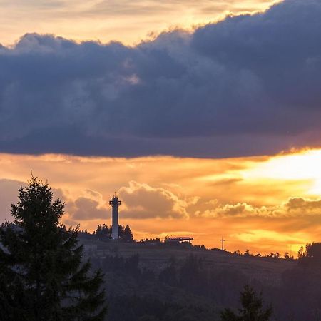 Fewo Poenblick Willingen  Bagian luar foto