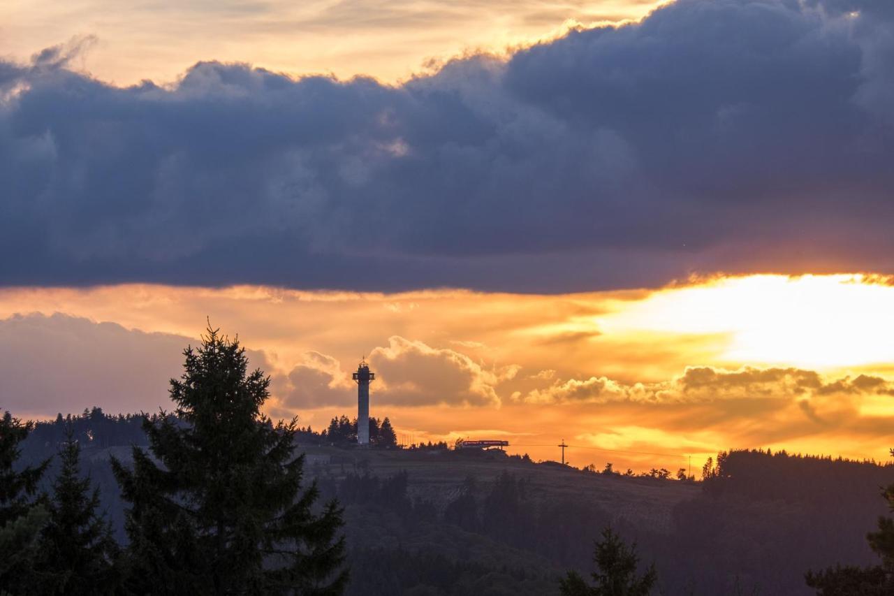 Fewo Poenblick Willingen  Bagian luar foto